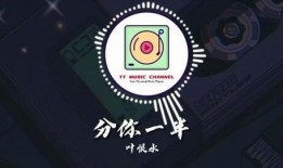 抖音爆料歌曲大全视频最新,最新爆料视频带你领略热门旋律