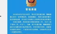 迪拜爆料网赌案件最新情况,警方破获大案，涉案金额惊人