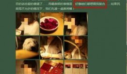 最新的家暴爆料视频大全,社会痛点引发关注与反思