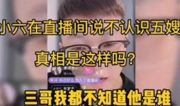 小六最新爆料,揭秘娱乐圈最新动态与幕后故事