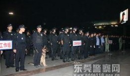 东莞警察爆料案件最新,最新案件背后惊人真相