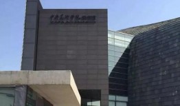 中央美院爆料视频最新,揭秘艺术教育背后的真相