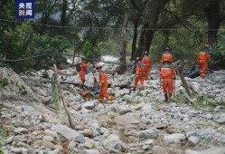 深圳爆料山洪最新消息新闻,深圳山洪突发！最新救援进展及受灾情况通报