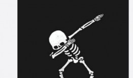 一月高招a最新爆料,独家爆料带你直击高考招生前沿”