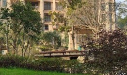 星河湾小区最新爆料,揭秘豪宅背后的惊人真相