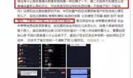 辛巴爆料违法吗最新消息,涉嫌违法事件引发关注