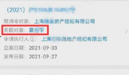 韦丹丹爆料记录最新,揭秘娱乐圈不为人知的幕后故事
