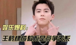 王鹤棣成毅最新八卦爆料,娱乐圈再掀波澜