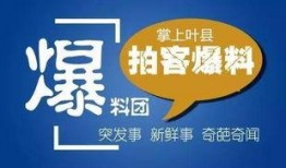 媒体爆料范文大全集最新