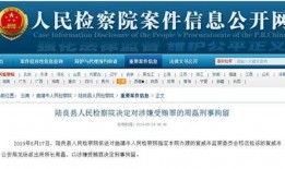 最新案件爆料最新消息,最新案件内幕曝光，真相令人震惊！