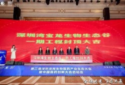 宝龙爆料最新消息新闻