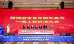 宝龙爆料最新消息新闻